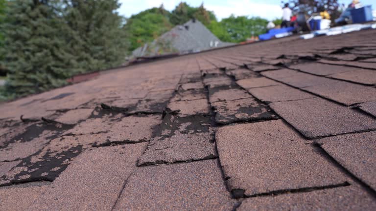Best Asphalt Shingle Roofing  in Watauga, TX