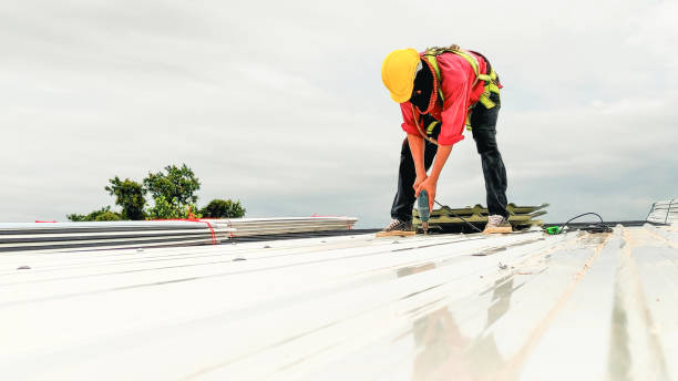 Best Green or Eco-Friendly Roofing Solutions  in Watauga, TX