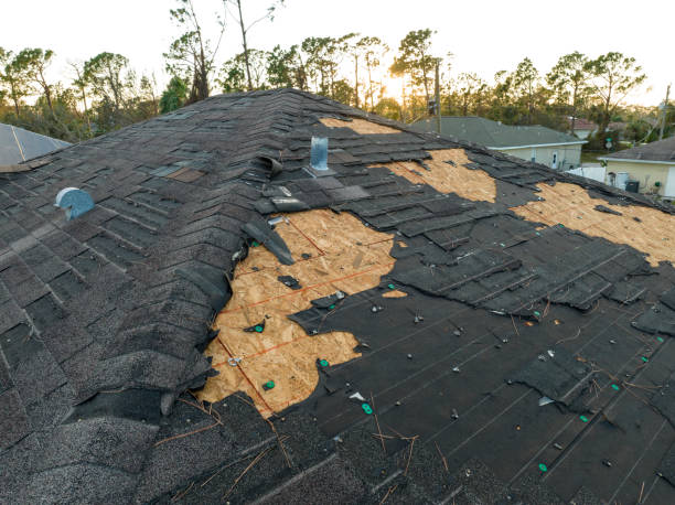 Best Slate Roofing  in Watauga, TX
